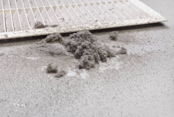 Best Ductwork Cleaning Services  in Solana Beach, CA